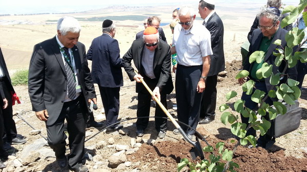 Quella foresta che sta nascendo nel suo nome