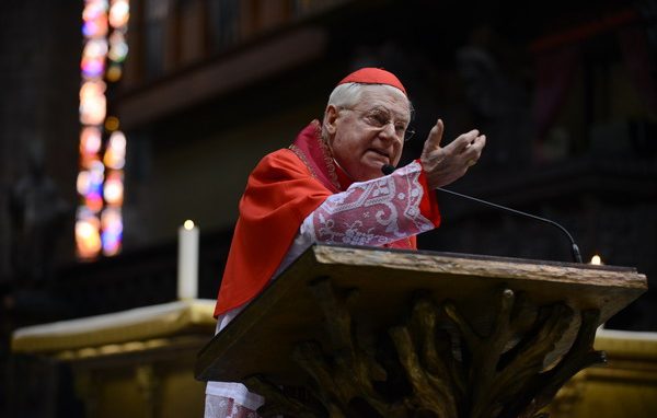 “Il campo è il mondo”, <br>un concorso per il logo