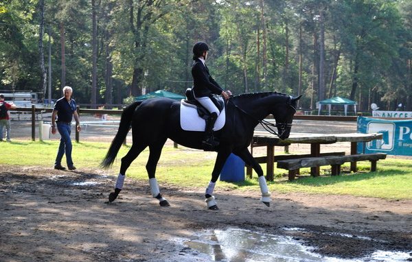 A cavallo per abbattere le barriere