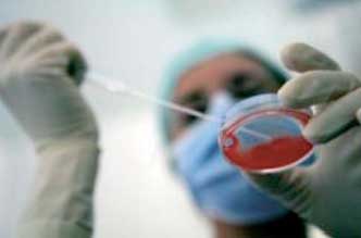 Staminali: terapia, speranza, illusioni