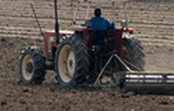 Giovani, protagonisti in agricoltura