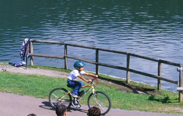 Oggi tocca alla coppia custodire il creato
