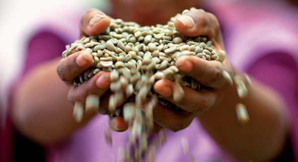 La Chiesa e la società civile verso l’Expo