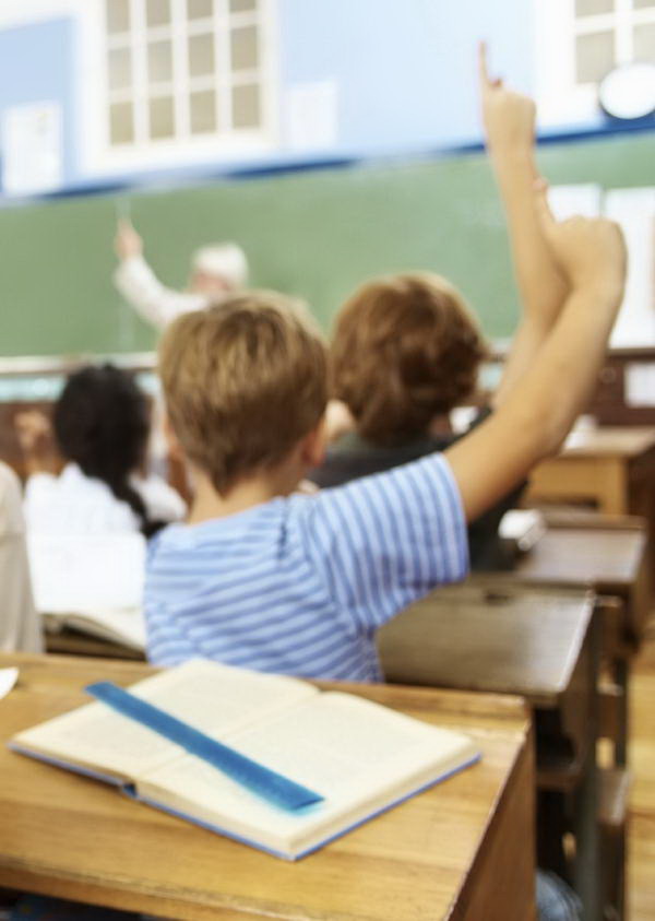 Portrait of a happy school boy raising his hand in the classroom