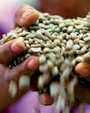 La Caritas internazionale<br>partecipa all’Expo 2015