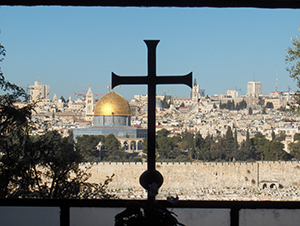 “Il deserto fiorirà”,  pellegrinaggio Idr in Terra Santa