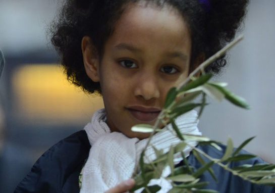 Domenica delle Palme,  tutti attesi in processione