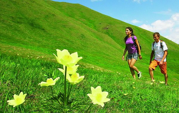 Presentazione di “Nati per amare”