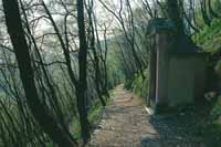 Valle Imagna: la Madonna della Cornabusa