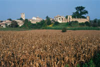 L’OASI NATURALISTICA
