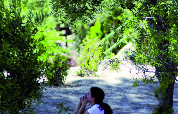 Alla scoperta della felicità