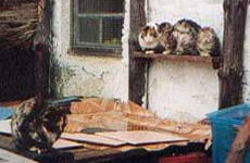 25 marzo Rabanal – Molinaseca