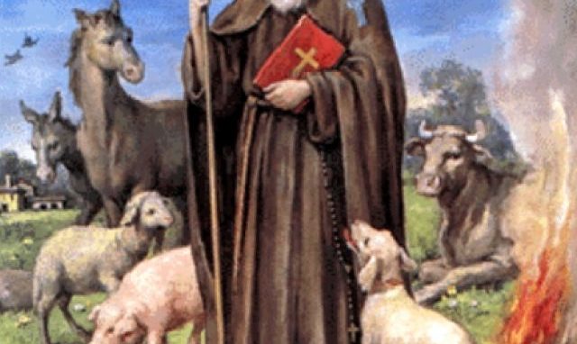 A San Giuliano milanese, <br>festa di Sant’Antonio Abate