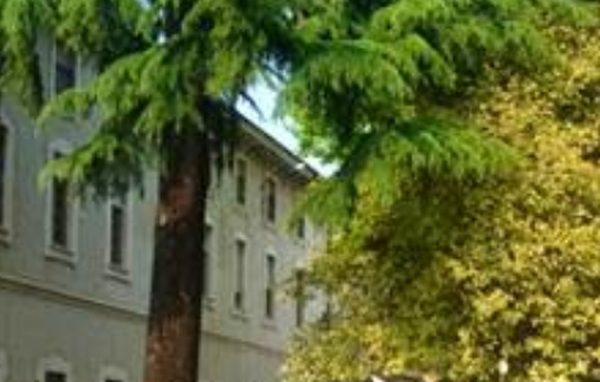 Al Collegio Rotondi, al via <br>la rassegna “Foglie d’ortica”