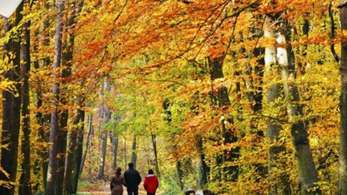 «Laudato si’», un video al giorno per riflettere e pregare
