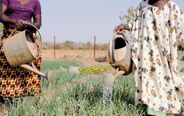Ricerca Caritas: lavoro nero, in un anno  duemila stranieri sfruttati