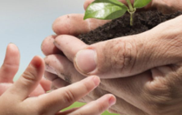 Ambiente, bene comune?