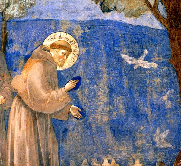 San Francesco predica agli uccelli (Giotto)