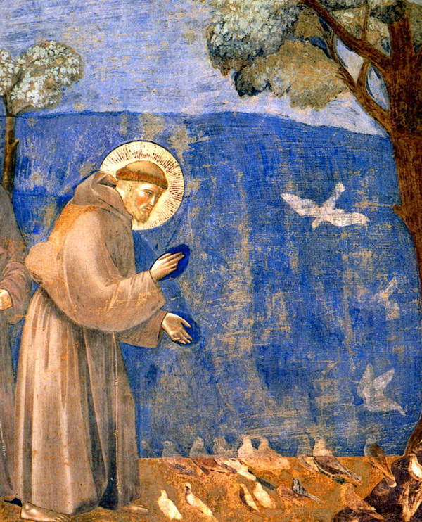 San Francesco predica agli uccelli (Giotto)