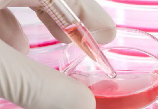 «È mancata una seria sperimentazione»