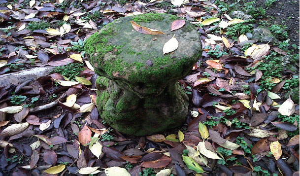 Il 14, concerto di Natale <br>per i ragazzi di Fukushima