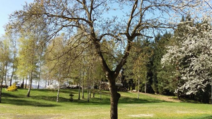 «Martin Lutero e gli inizi della riforma protestante (1517 – 1521)»