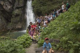 Insieme verso il Tempo del Creato 2024: on line l'incontro mensile degli animatori Laudato Si’
