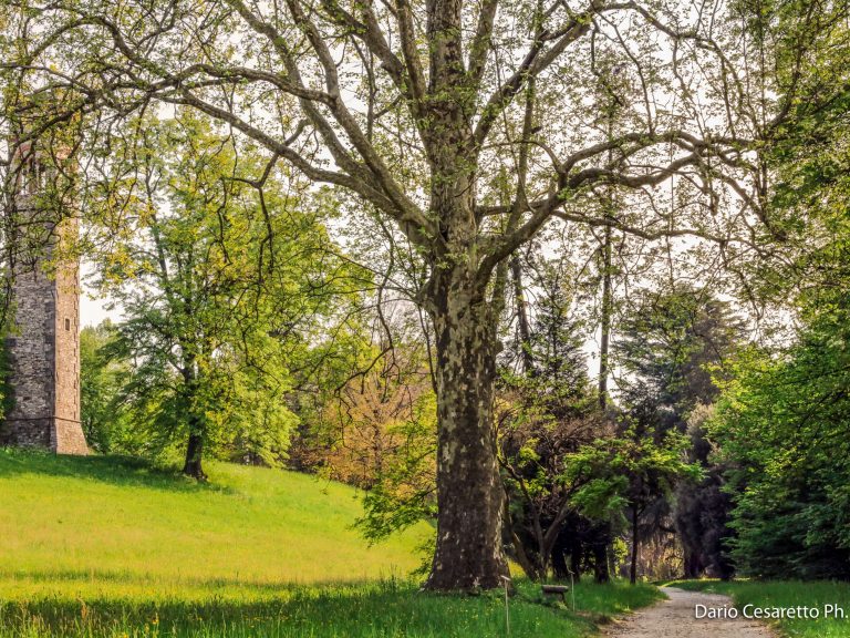 Villa Cagnola (Dario Cesaretto)