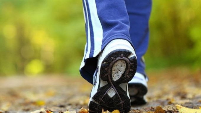 Le camminate dei Gatti Spiazzati per scoprire Milano