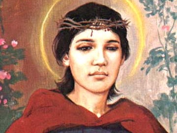 Mercoledi, Settimana della XI Domenica dopo Pentecoste