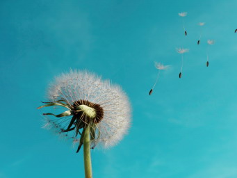 «E la parola di Dio si diffondeva», le famiglie missionarie a Km0