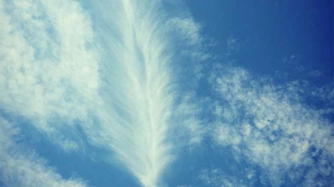 Un calendario poetico per un anno oltre le sbarre