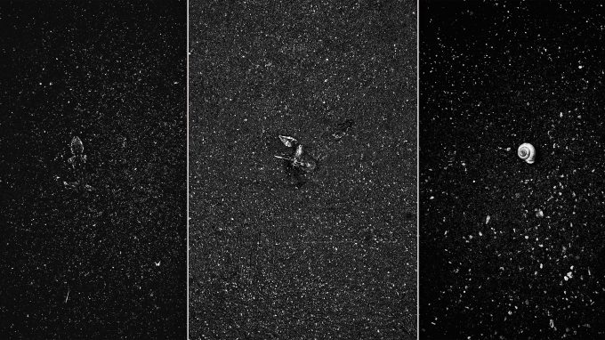 Cattolica, percorsi contemporanei fra arte e spiritualità