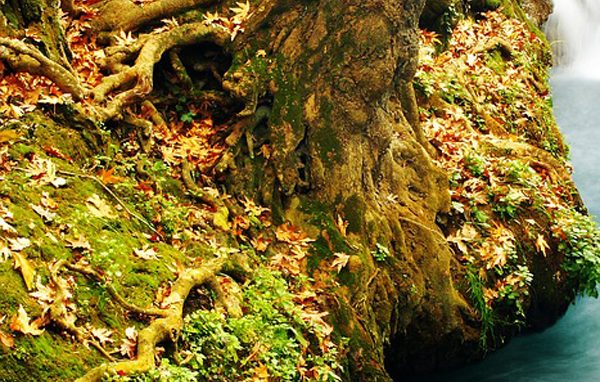 Mons. Paolo Martinelli a Bollate apre un ciclo di incontri sulla pace