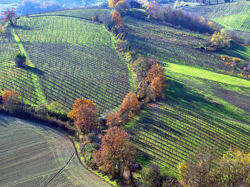 Langhirano Emilia Romagna