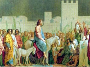 Domenica delle Palme
