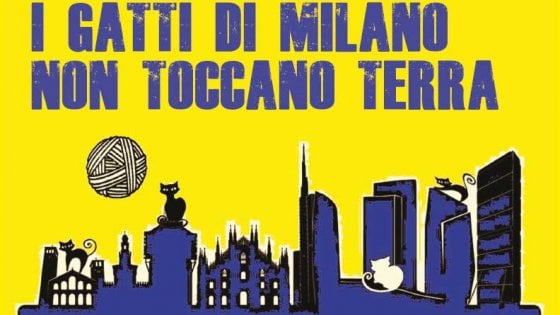 Con i Gatti Spiazzati sulle “pietre d’inciampo” della città