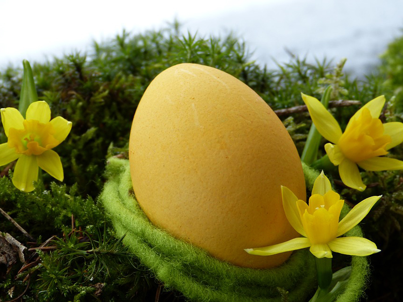 easter-egg-3165488_960_720