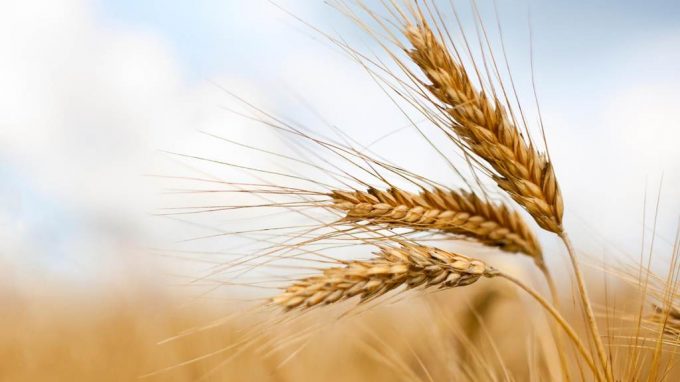 Le Chiese e la ricchezza, la povertà e i beni della terra