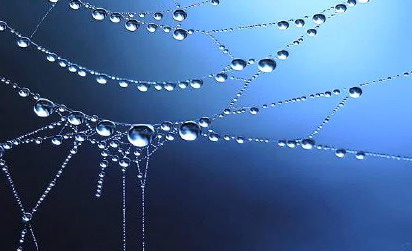 A 50 anni dalla «Humanae vitae», reti generative a sostegno dell’umano