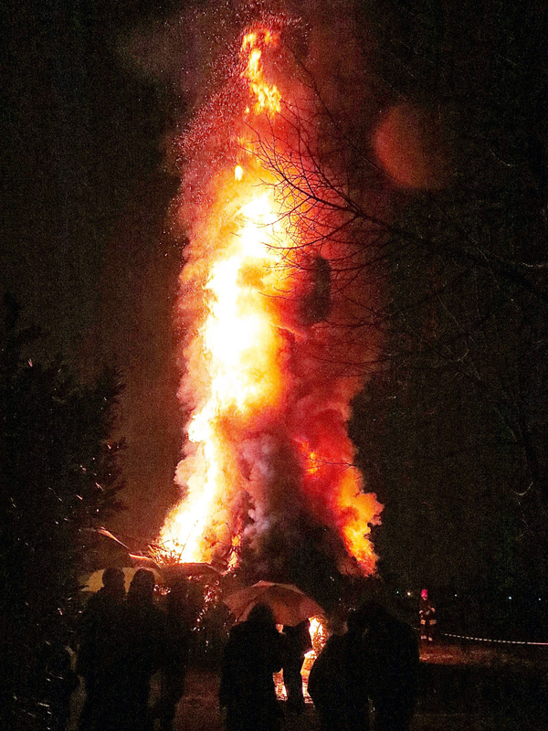 Paolo Zandrini photo 2014