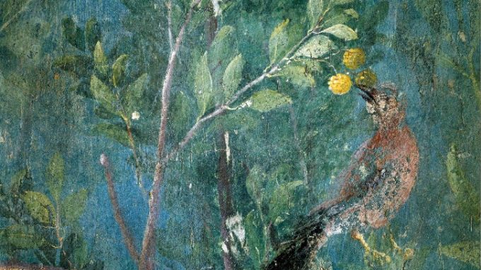 Aristotele, riflessioni sugli animali