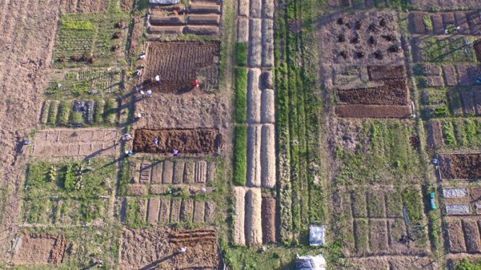 Trecella, un territorio che affronta attivamente le insidie del presente per un futuro sostenibile