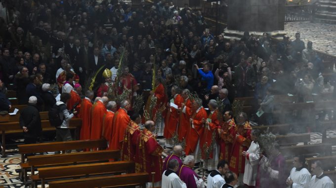 pontificale-palme-2019-7