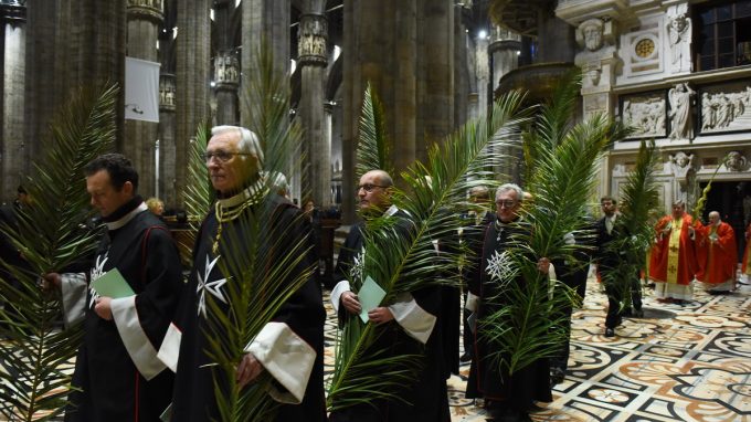 pontificale-palme-2019-f
