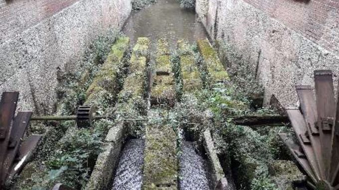 Milano, la riscoperta dell’acqua: da Leonardo a oggi