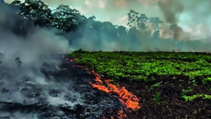 Il grido dell’Amazzonia, convegno al Pime