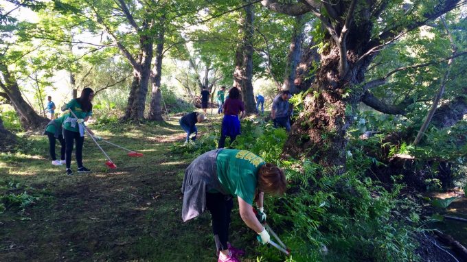 vf-purpose-days-isolino-virginia-2