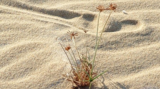 Tempo del Creato, Camminata ecumenica a Quarto Oggiaro