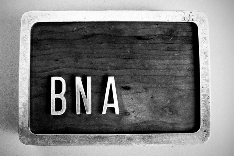 Foto di Stefano Porfirio